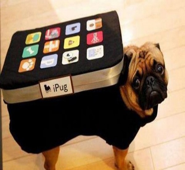 dog apps